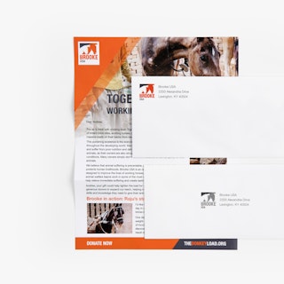 Nonprofit Letter Mailers with Reply Envelopes