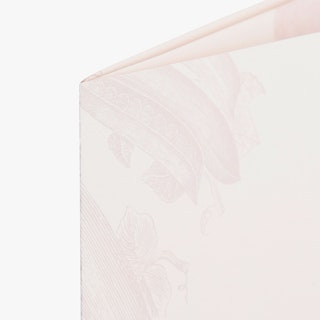 The top left corner of a brochure menu printed with three panels and a subtle leaf illustration.