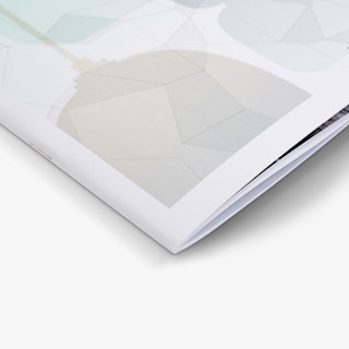 The bottom corner of a product catalog printed with a white and pale green cover design.