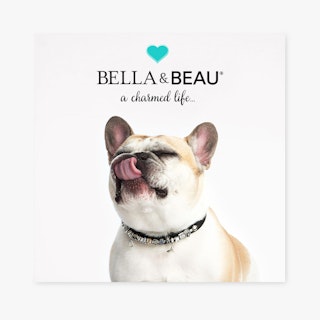 A clear sign with a French bulldog wearing a collar with charms underneath a brand name.