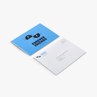 A direct mail card printed with Furever Friends Pet Rescue in blue and black and a matching envelope.
