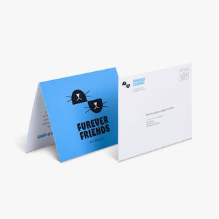 A direct mail card and envelopes printed with Furever Friends Pet Rescue in blue and black.