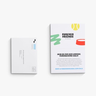 A direct mail card and matching envelope printed with Furever Friends Pet Rescue and fundraiser details.