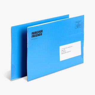 Two blue direct mail newsletters overlapping each other with Furever Friends Pet Rescue in the corner.