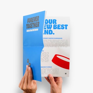 Two hands opening a direct mail newsletter printed with Furever Together Stories from the Rescue.