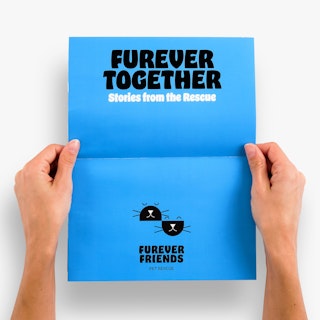Two hands holding a newsletter printed in blue, black and white with Furever Together at the top.