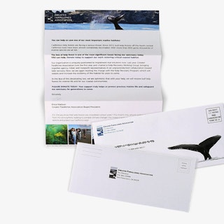 Direct Mail Letter Mailer with Reply