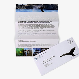 Direct Mail Letter Mailer