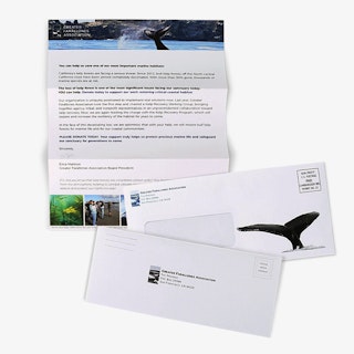 Direct Mail Window Letter Mailer with Reply