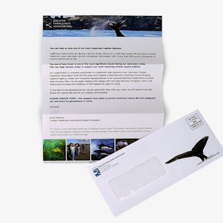 Direct Mail Window Letter Mailer