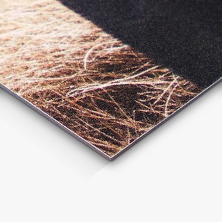 The corner of a save the date magnet printed with a grass image in brown and black.