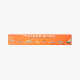 A school floor decal with an orange background and an animal design.