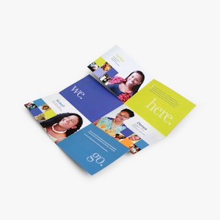 A traveling snake brochure laying unfolded and printed with green, purple and blue panels.