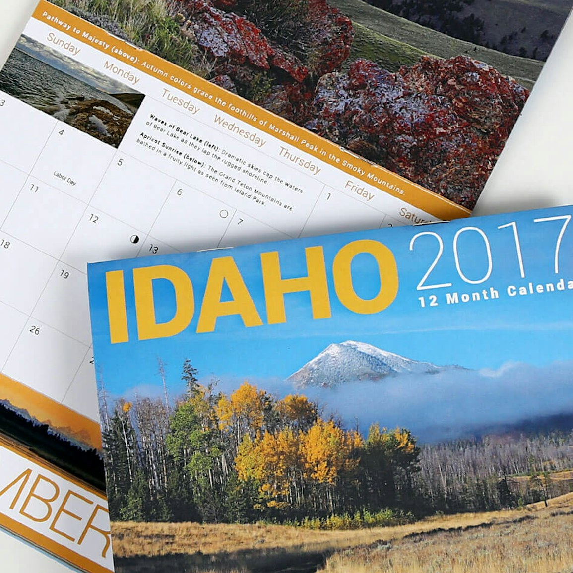 category-calendars-project-spotlight-drawer-background-image-2018070501.jpg