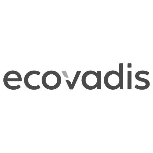 Ecovadis Assessment